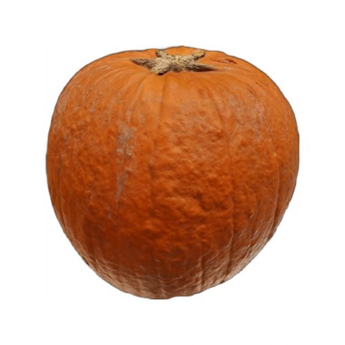 Dovleac Halloween Romania cca. 3 Kg pret/kg.