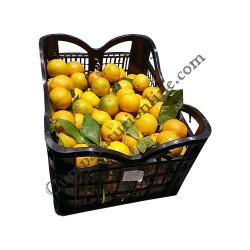 Clementine import Grecia cal. I pret/kg.