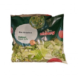 Salata Eisberg Din gradina 180 gr.